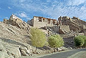 Shey Palace Ladakh Stock pictures